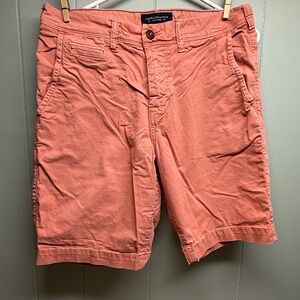 American Eagle Outfitters Men's Salmon Shorts